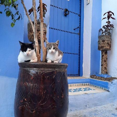 Riad Chourafa Chefchaouen Buitenkant foto