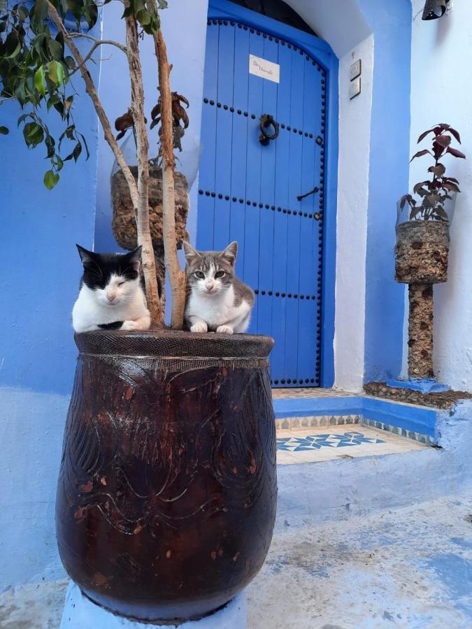 Riad Chourafa Chefchaouen Buitenkant foto